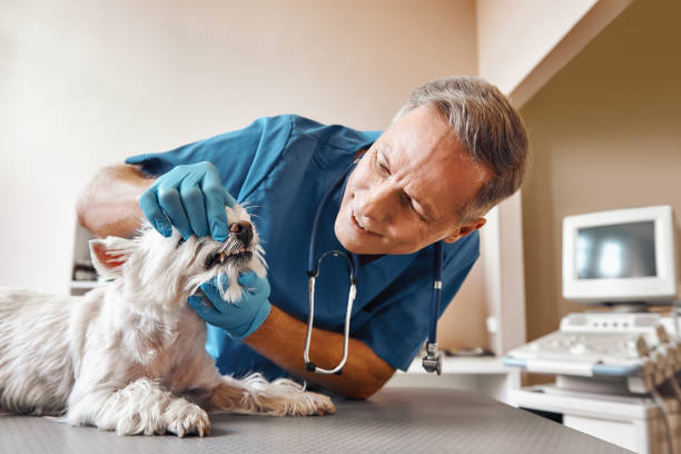 Best Emergency Tooth Extraction in Ludowici, GA
